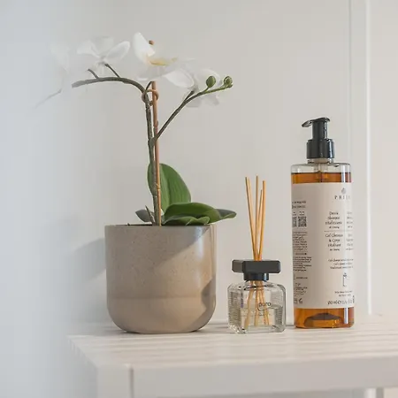 Apartmán - Stilvolle Mit Loggia Im Stadtzentrum - Kingsize Bett - Smart Tv - Netflix - 60qm - 24h Check-in